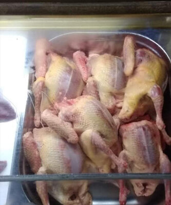 Pigeonneau avec abats