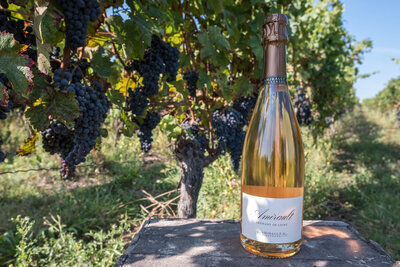 Crémant de loire rosé non dosé