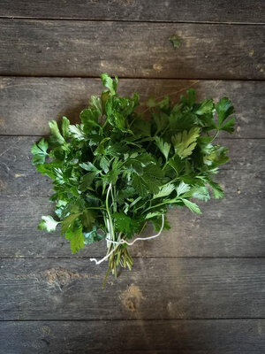 Bouquet de persil