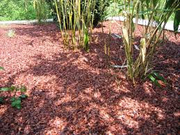 Paillage  cacao sac de 120 l