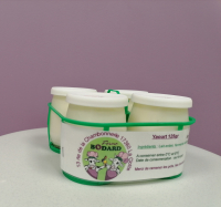 Yaourts figés nature