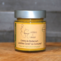 Tartinade, courge, lentilles corail ,curcuma