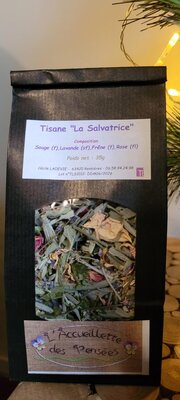 La salvatrice