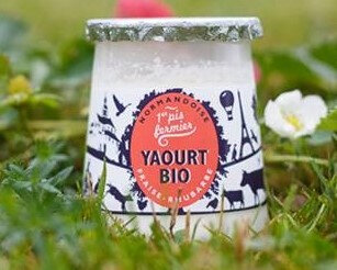 Yaourt bio & fermier sur lit de fraise-rhubar