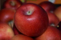 Pomme soprano bio