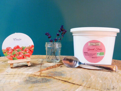 Yaourts bio fraise pot 500g