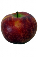 2kg pommes garance bio