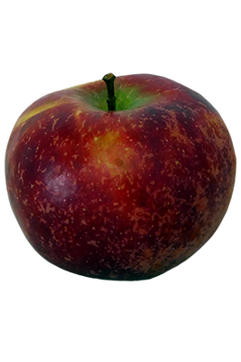 2kg pommes garance bio