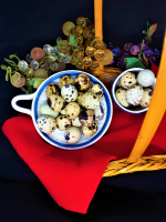 Oeufs de cailles x12