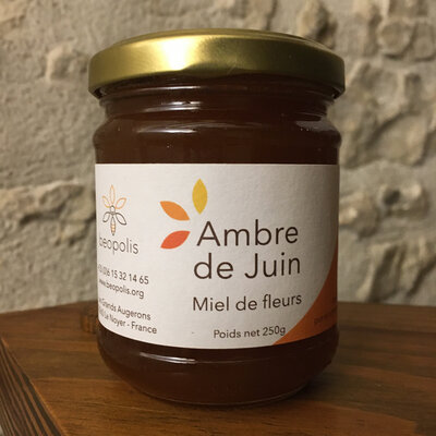 Ambre de juin - miel de fleurs - 250g