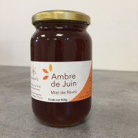 Ambre de juin - miel de fleurs - 500g