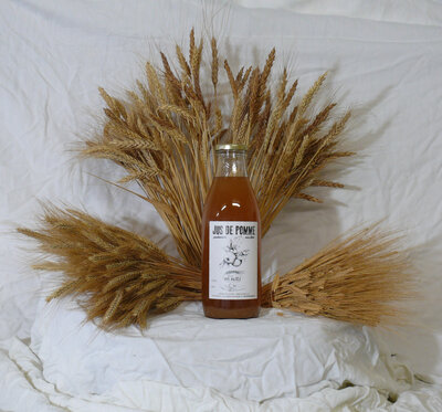 Jus de pomme bio