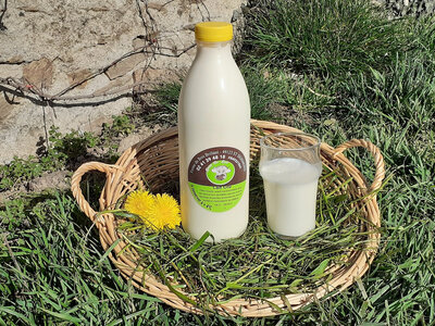 Lait entier cru.