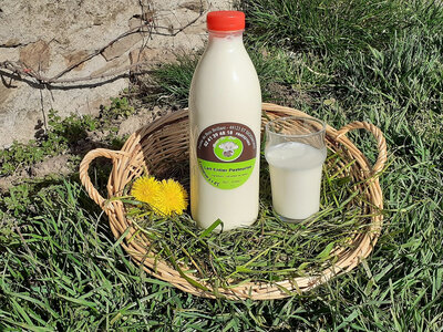 Lait entier pasteurisé.