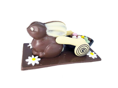 Lapin charette