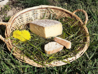 Tomme fenugrec au lait cru 250 gr