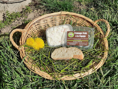 Fromage frais papaye 230 gr