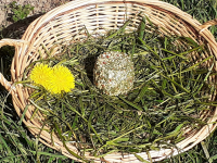 Fromage frais saveur du jardin