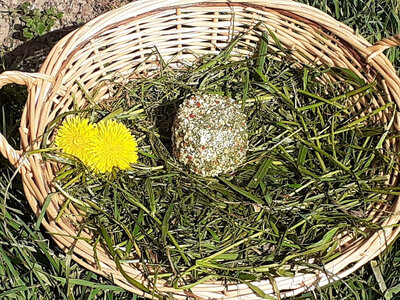 Fromage frais saveur du jardin