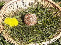 Fromage frais saveur italienne