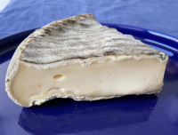 Saint nectaire fermier aop