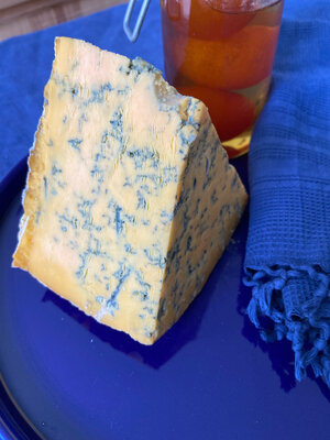 Blue shropshire