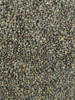 Lentilles vertes bio en vrac au kg