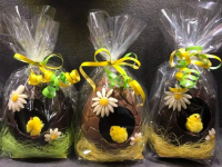 Le poussin dans l'oeuf chocolat lait