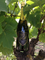 Méthode traditionnelle blanc