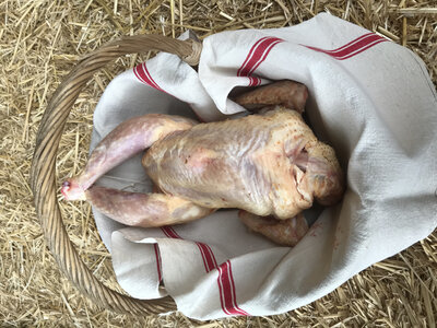Poulet fermier avec abats