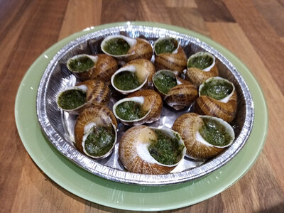 Assiette de 12 escargots en coquille