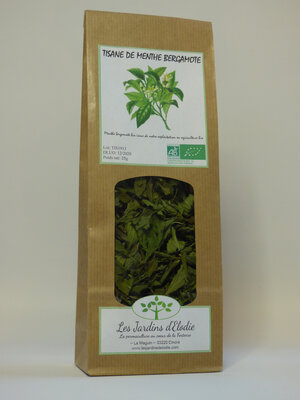 Tisane simple bio de menthe bergamote