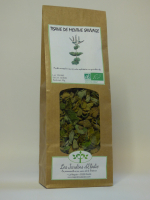 Tisane simple bio de menthe sauvage