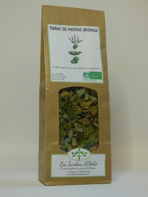 Tisane simple bio de menthe sauvage