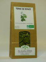 Tisane simple bio de ronce