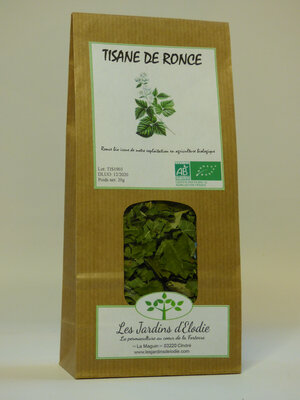 Tisane simple bio de ronce