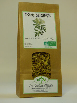 Tisane simple bio de sureau