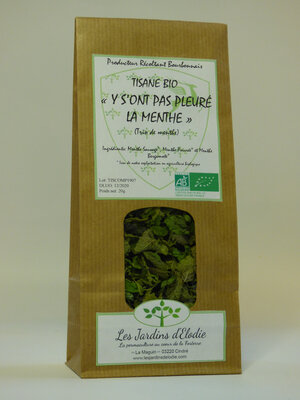 Tisane composée 'y s'ont pas pleuré la menthe