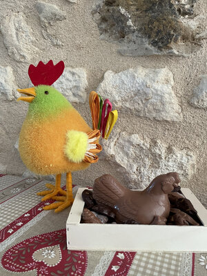 La poule chocolat lait et son nid 220g