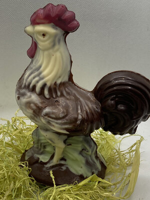 Le tout grand coq