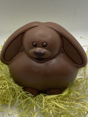 Le lapin bélier