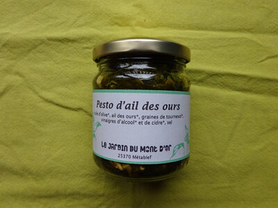 Pesto d'ail des ours