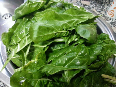 épinard frais