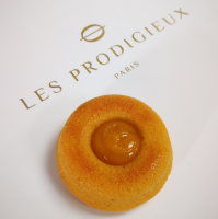 Visitandine fruit de la passion d'equateurx12