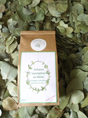 Infusion eucalyptus bio du médoc vrac
