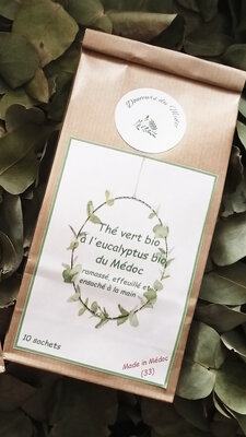 Thé vert à l'eucalyptus bio du médoc sachets