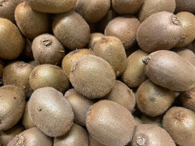 Kiwi