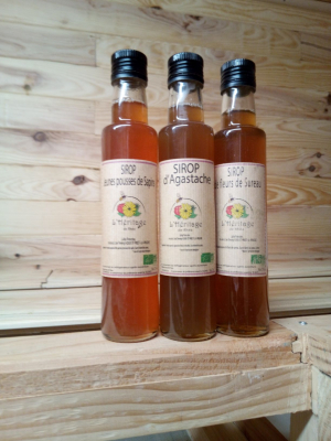 Sirop de fleurs de sureau
