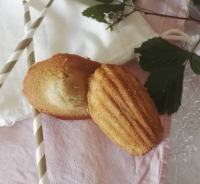 Madeleines aux zestes de citron