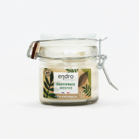 Dentifrice en pâte à la menthe